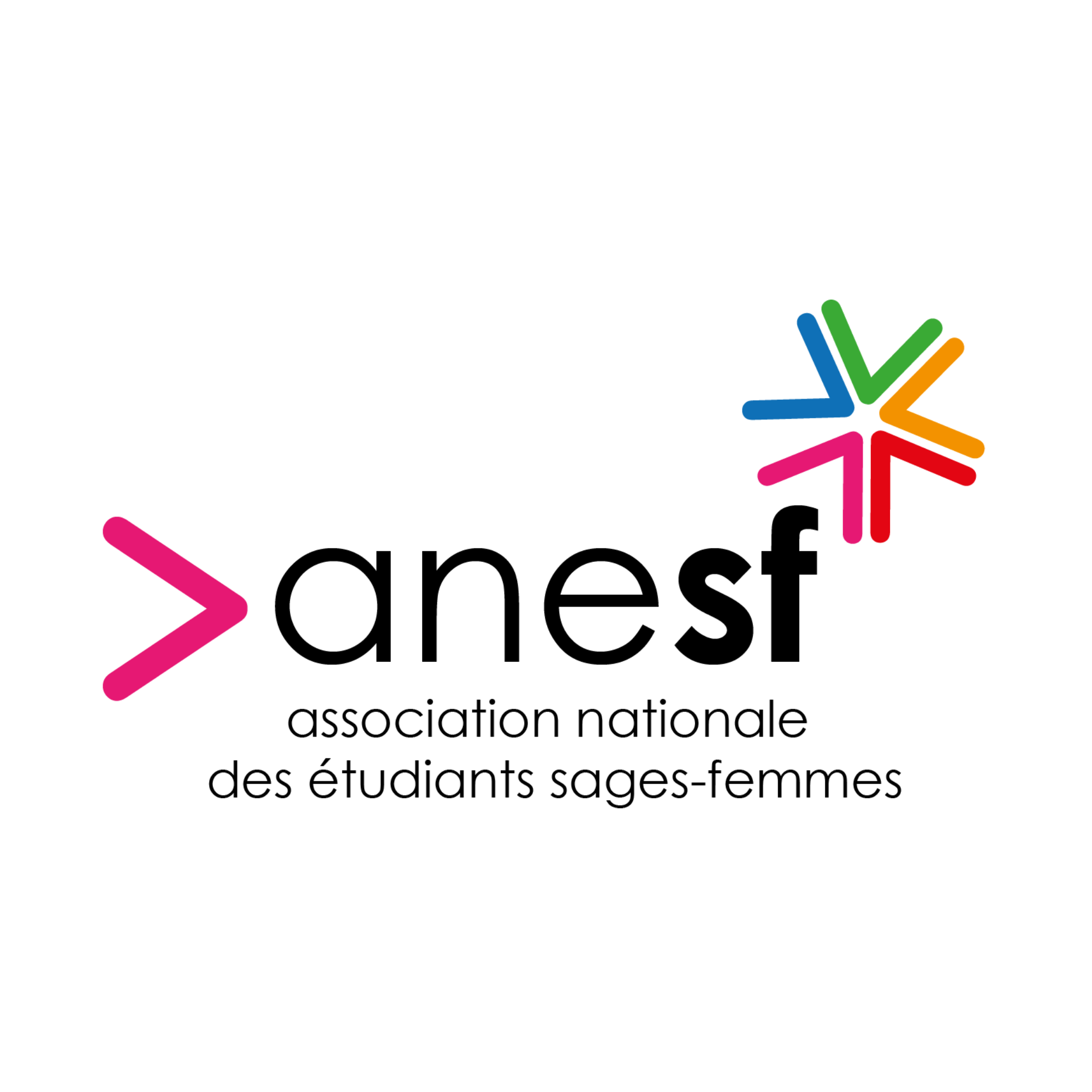 Logo-ANEST