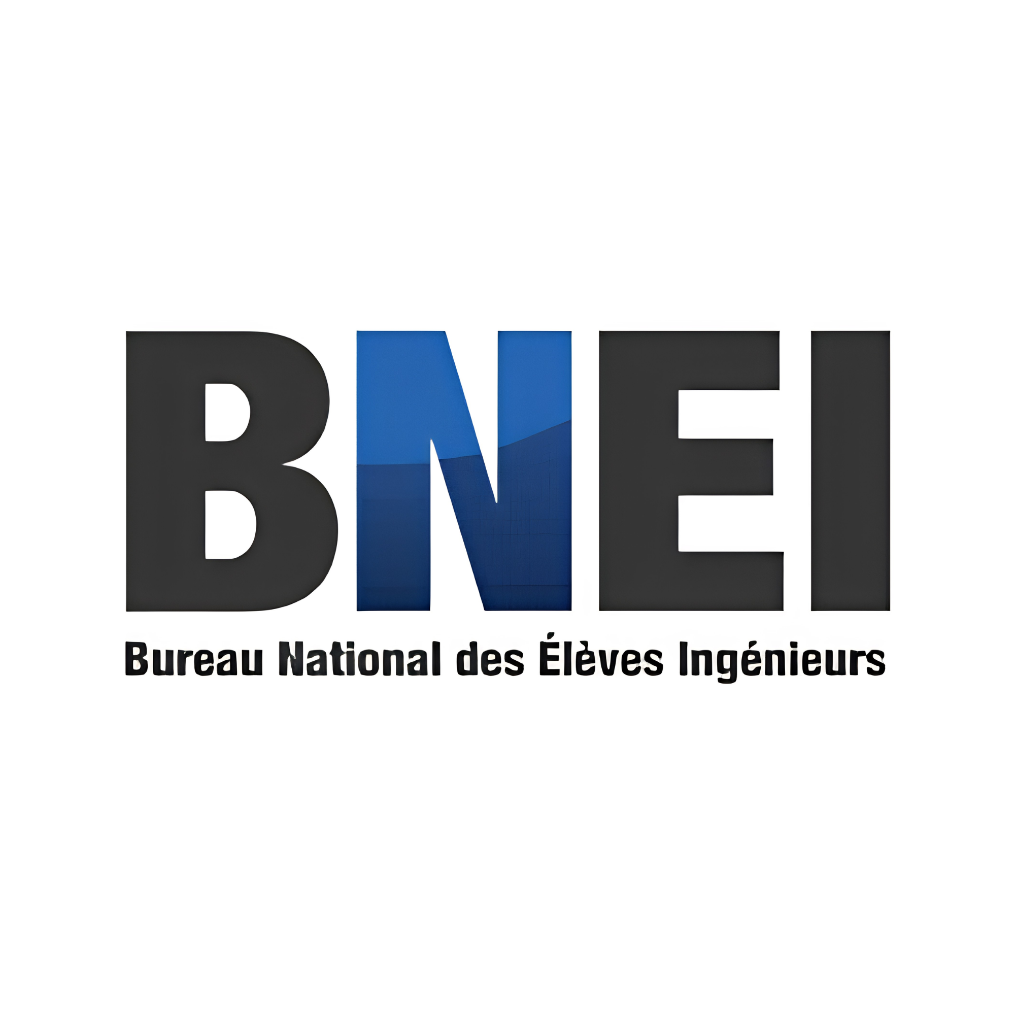 Logo-BNEI