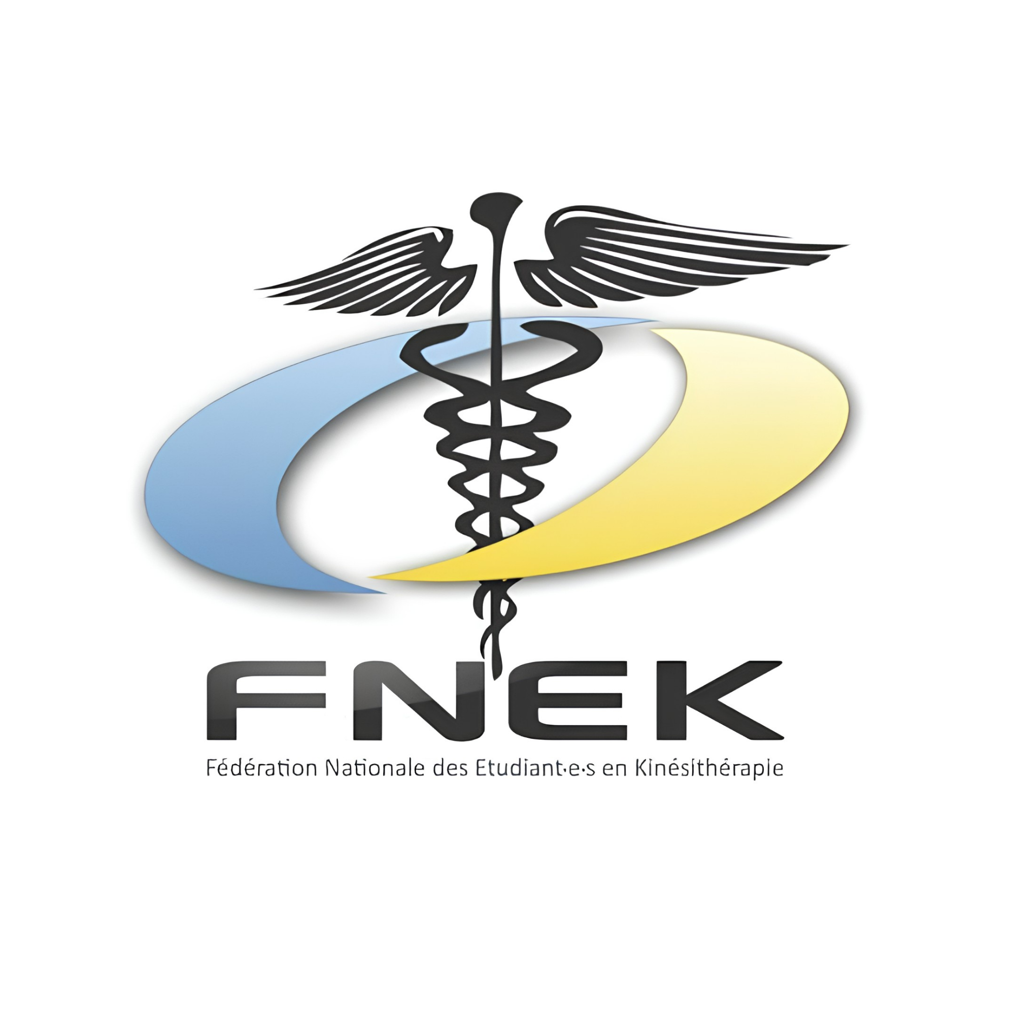 Logo-FNEK